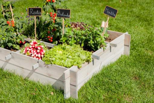 jardin