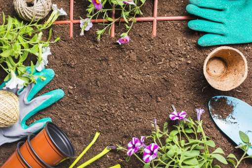 vue dessus outils jardinage sol