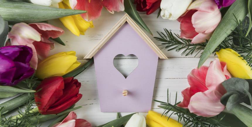 heart shape bird house surrounded with colorful tulips wooden desk