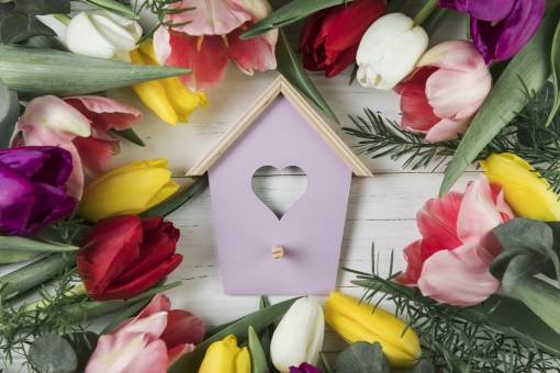 heart shape bird house surrounded with colorful tulips wooden desk